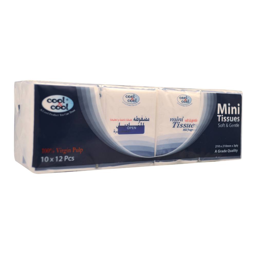 Compact Mini Tissues 12 Pack