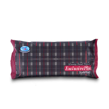C&C Exclusive Plus Facial Tissues (Soft Pack)