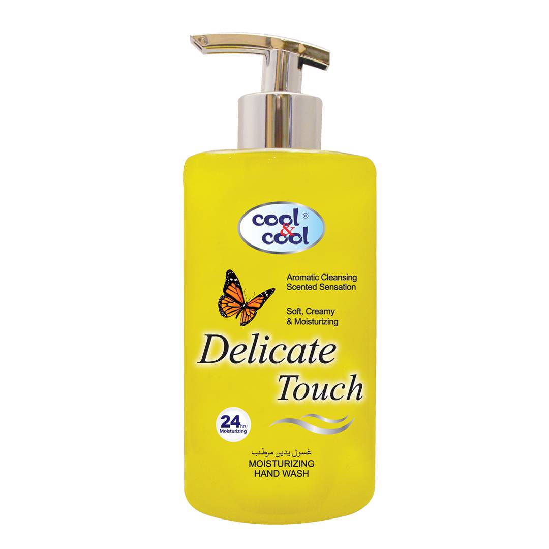 Delicate Touch Delicate Touch Hand Wash 500ml
